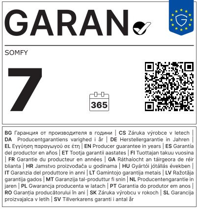 Somfy S&SO RS100 ioHybrid 1